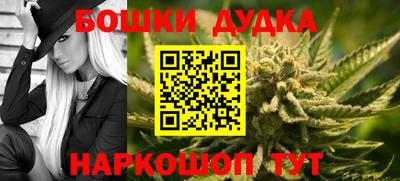 мдпв Будённовск