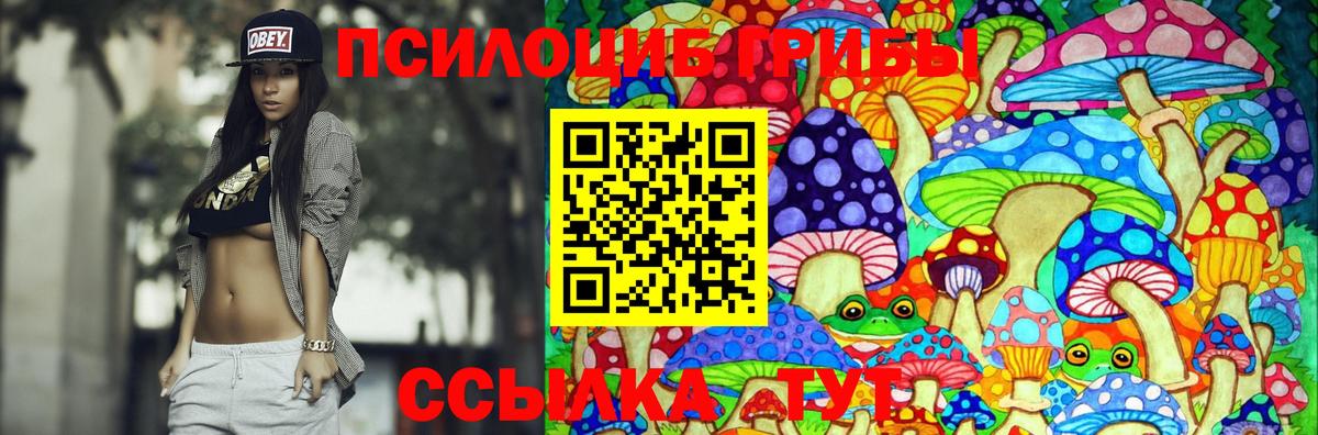 Галлюциногенные грибы ЛСД  Галлюциногенные грибы Psilocybine cubensis  закладка  Вход с VPN  Родники 