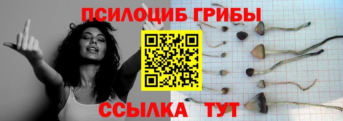 Псилоцибиновые грибы мицелий Родники